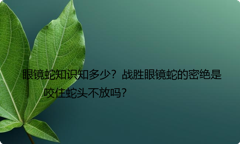 眼镜蛇知识知多少？战胜眼镜蛇的密绝是咬住蛇头不放吗？