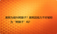 黑熊为啥叫熊瞎子？黑熊因视力不好被称为“熊瞎子”吗？