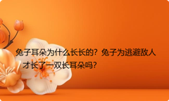 兔子耳朵为什么长长的？兔子为逃避敌人才长了一双长耳朵吗？