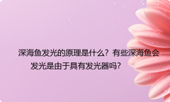 深海鱼发光的原理是什么？有些深海鱼会发光是由于具有发光器吗？