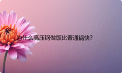 为什么高压钢做饭比普通锅快？