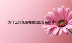 为什么彩色胶卷能拍出彩色照片？