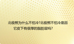 北极熊为什么不怕冷?北极熊不怕冷是因它皮下有很厚的脂肪层吗？