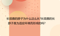 长颈鹿的脖子为什么这么长?长颈鹿的长脖子是为适应环境而形成的吗？