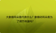 大象扇耳朵是代表什么？象扇动耳朵是为了调节体温吗？