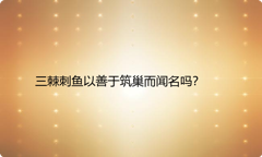 三棘刺鱼以善于筑巢而闻名吗？