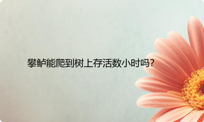 攀鲈能爬到树上存活数小时吗？