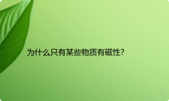 为什么只有某些物质有磁性？