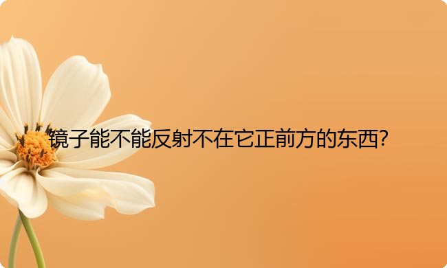 镜子能不能反射不在它正前方的东西？