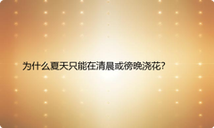 为什么夏天只能在清晨或徬晩浇花？