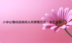 小学必懂成语典故从故事看历史：金石为开