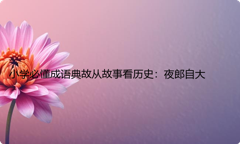 小学必懂成语典故从故事看历史：夜郎自大