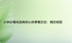 小学必懂成语典故从故事看历史：精忠报国