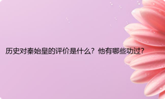 历史对秦始皇的评价是什么？他有哪些功过？