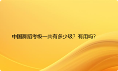 中国舞蹈考级一共有多少级？有用吗？