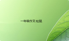一年级作文:松鼠