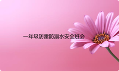 一年级防雷防溺水安全班会