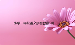 小学一年级语文拼音教案5篇