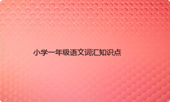 小学一年级语文词汇知识点