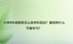 小学6年语数英怎么做学科规划？要按照什么节奏学习？