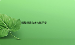 少儿编程几年级开始学比较好(多大孩子开始学少儿编程适合)