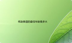 练跆拳道的最佳年龄是多大