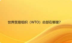 世界贸易组织（WTO）总部在哪里？