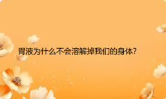 胃液为什么不会溶解掉我们的身体？