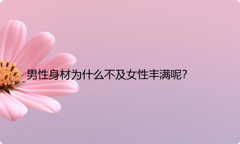 男性身材为什么不及女性丰满呢？