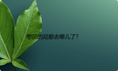 憋回的屁都去哪儿了？
