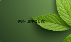 牙齿也属于骨头吗？