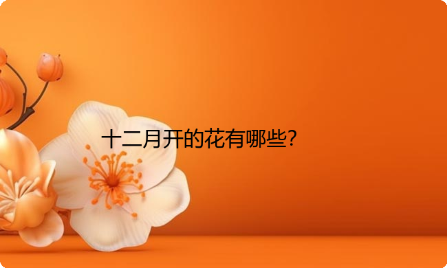 十二月开的花有哪些？