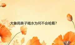 大象用鼻子喝水为何不会呛着？