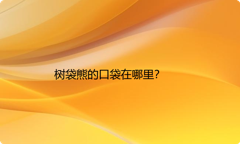 树袋熊的口袋在哪里？
