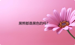 黑熊都是黑色的吗？