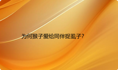 为何猴子爱给同伴捉虱子？