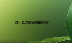 为什么大猩猩爱锥胸脯？