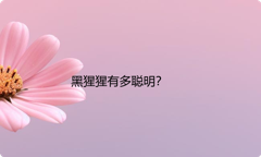 黑猩猩有多聪明？