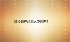 鸡没有牙齿怎么吃东西？
