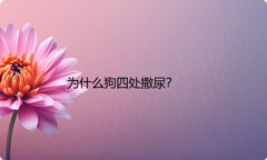 为什么狗四处撒尿？