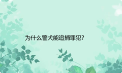 为什么警犬能追捕罪犯？