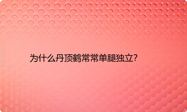 为什么丹顶鹤常常单腿独立？