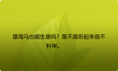 雄海马也能生崽吗？是不是听起来很不科学。