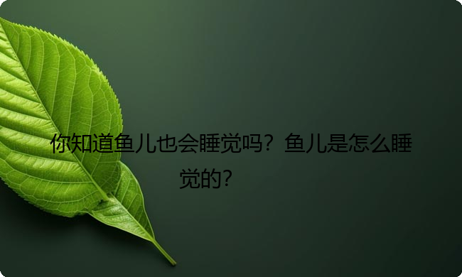 你知道鱼儿也会睡觉吗？鱼儿是怎么睡觉的？