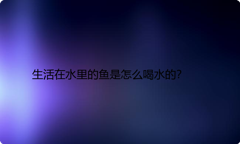 生活在水里的鱼是怎么喝水的？