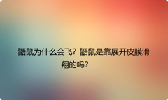 鼯鼠为什么会飞？鼯鼠是靠展开皮膜滑翔的吗？