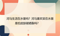 河马生活在水里吗？河马喜欢呆在水里是怕皮肤被晒裂吗？