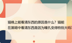猫晚上能看清东西的原因是什么？猫能在黑暗中看清东西是因为瞳孔变得特别大