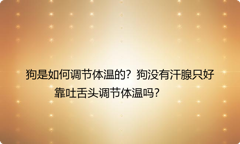 狗是如何调节体温的？狗没有汗腺只好靠吐舌头调节体温吗？