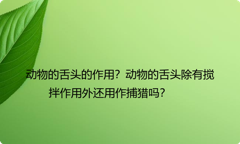 动物的舌头的作用？动物的舌头除有搅拌作用外还用作捕猎吗？